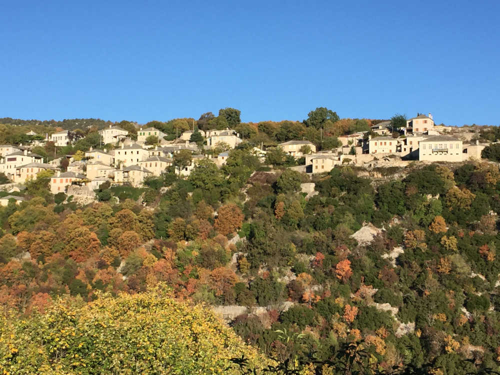 Vitsa