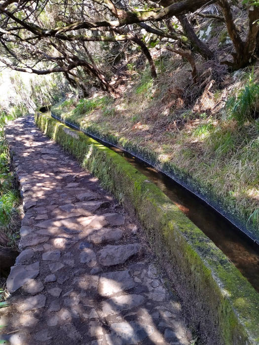 Levada das 25 Fontes