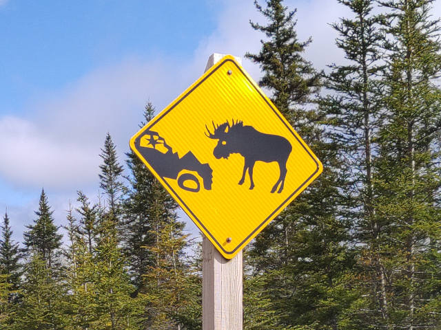 Verkeersbord Eland