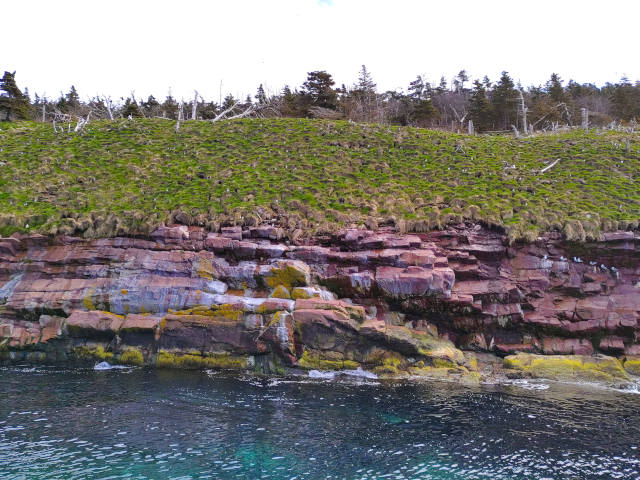Witless Bay