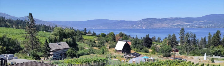 Summerhill Pyramid Winery Panorama