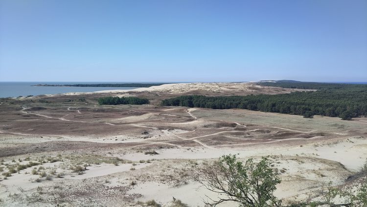 Parnidis-duin Baltische staten