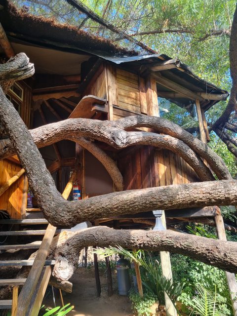 Boomhut Baviaanskloof