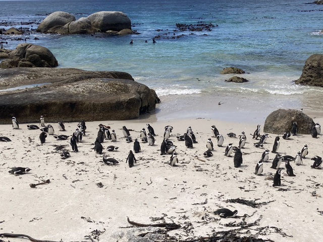 Boulders Beach